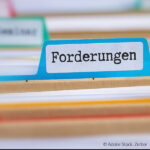 Bucheinsichtsrecht. Forderungen, aufgelöste GmbH, Gläubiger,