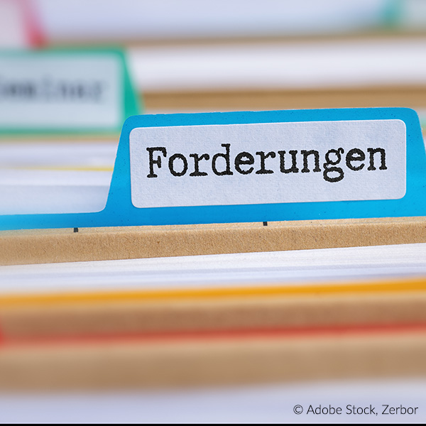 Bucheinsichtsrecht. Forderungen, aufgelöste GmbH, Gläubiger,